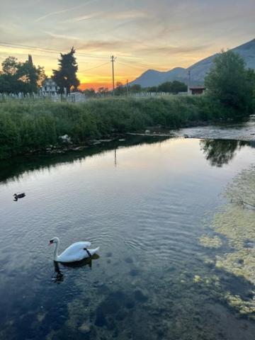 Smjestaj Dada Villa Trebinje Exteriör bild
